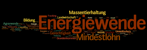 Ergebnis Campact-Umfrage Themen 2013