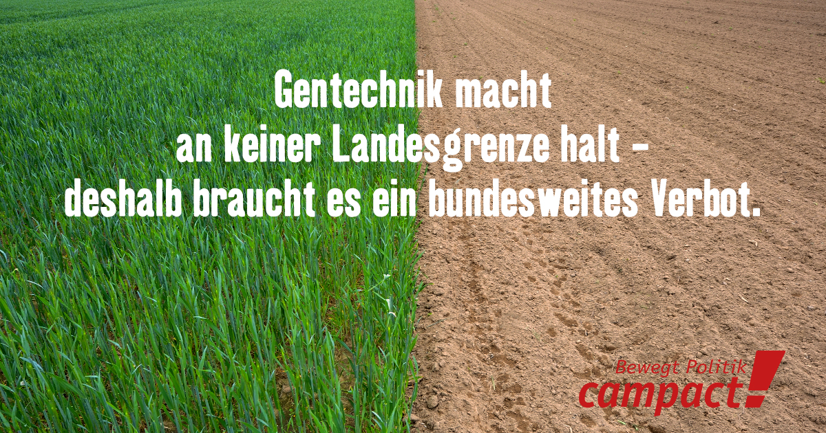 Gentechnik bundesweit verbieten. Grafik: Campact/Zitrusblau (CC BY-NC 2.0)