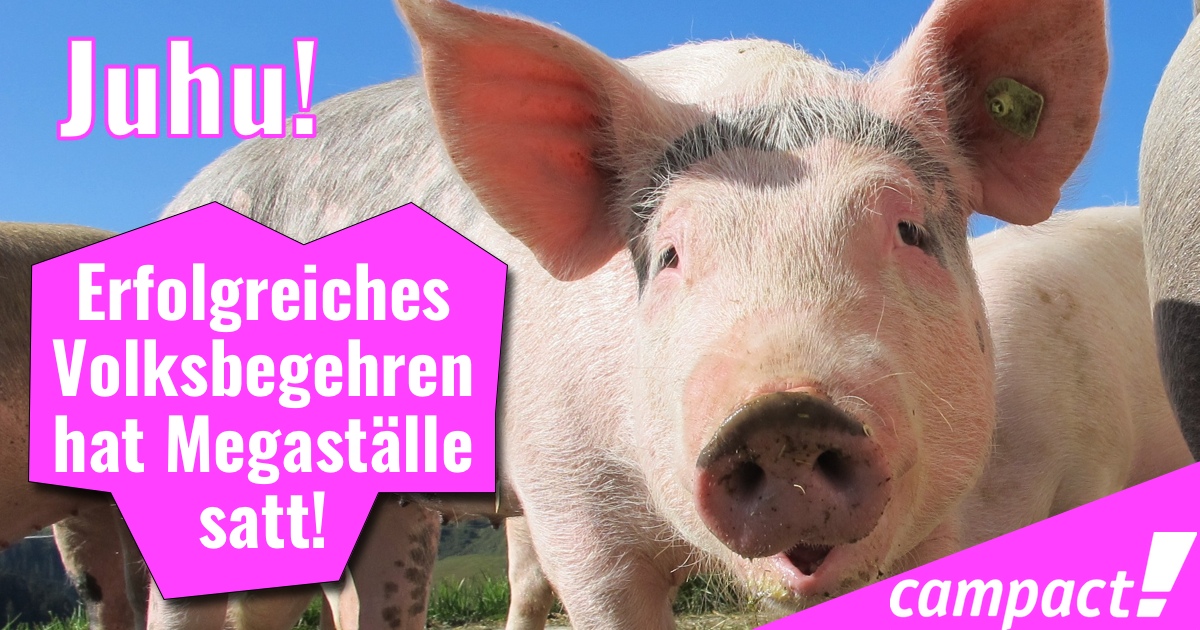 Massentierhaltung Erfolg Share-Bild