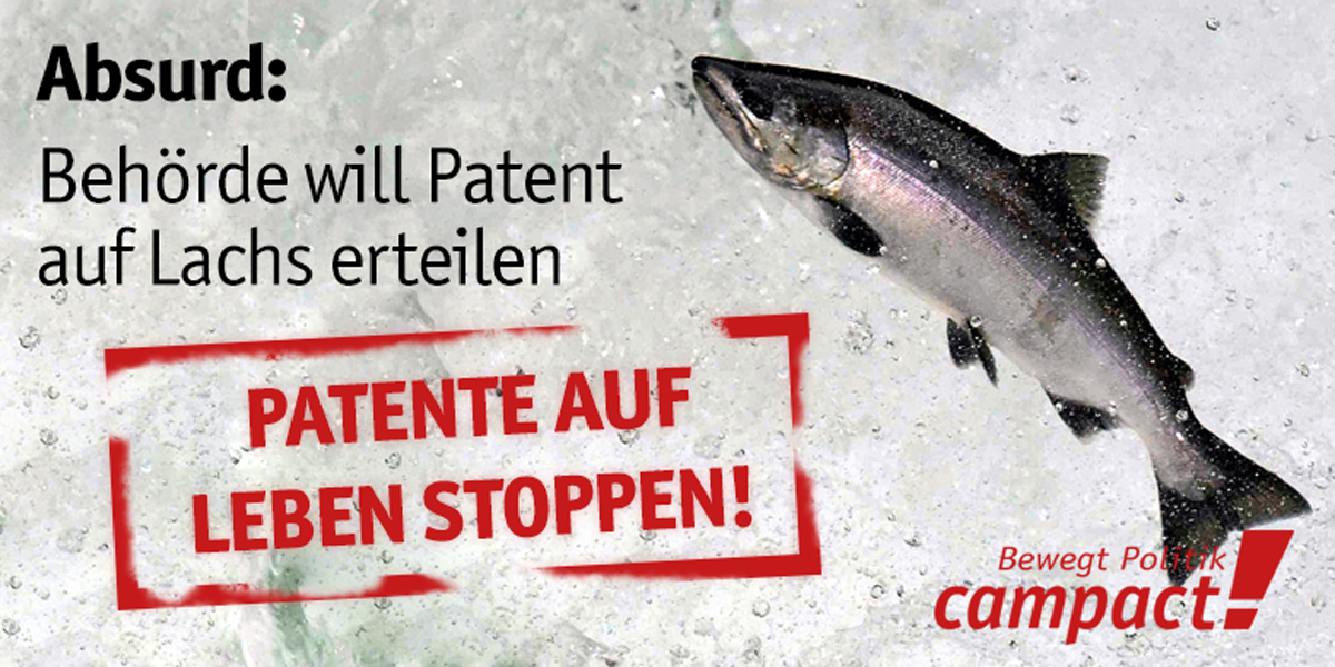 Absurd: Patent auf Lachse. Grafik: Sascha Collet/Campact