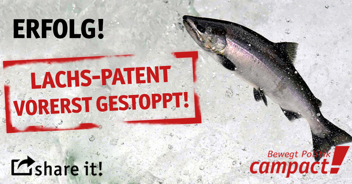 Erfolg: Das Patent auf Lachse ist vorerst gestoppt. Grafik: Sascha Collet/Campact
