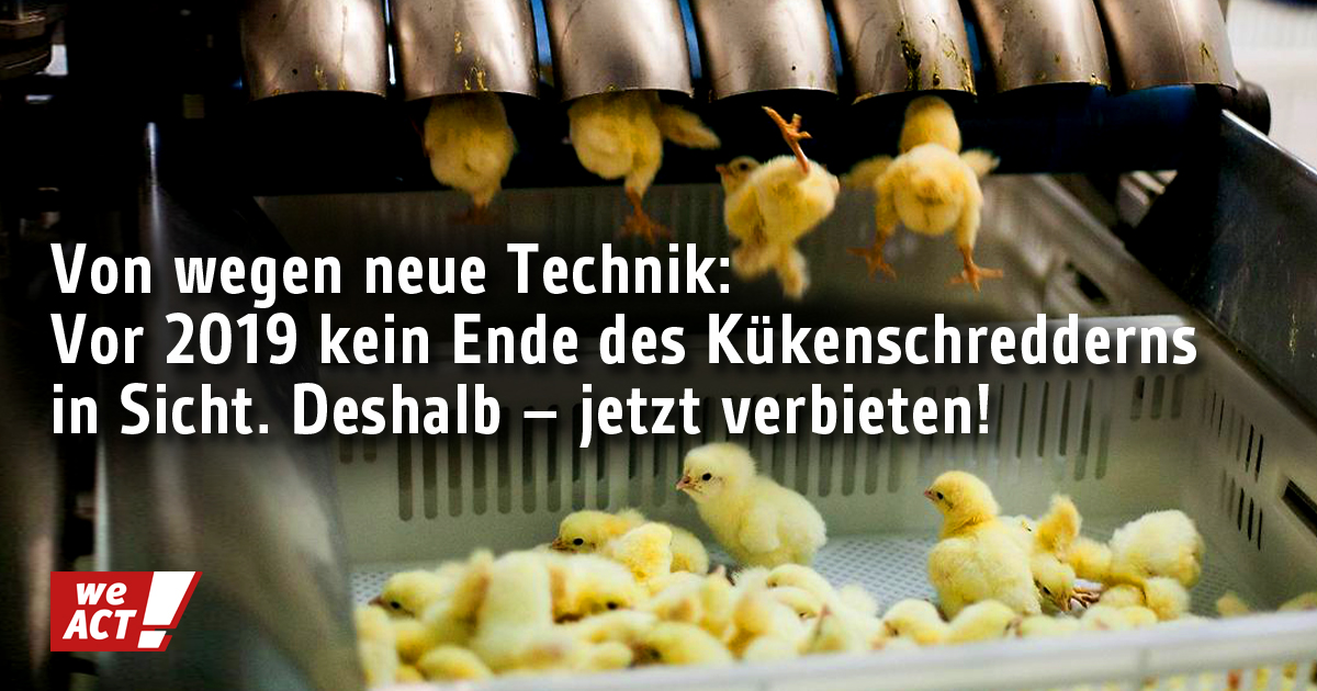 Bildgrafik: Maschine sortiert Küken in Kisten. "Von wegen neue Technik: Vor 2019 kein Ende des Kükenschredderns in Sicht. Deshalb - jetzt verbieten!"