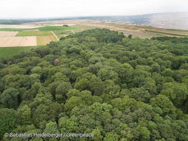 Acht Fakten über Braunkohle, Campact zeigt wie sehr Braunkohle uns allen schadet, Foto: Sebastian Heidelberger / Greenpeace