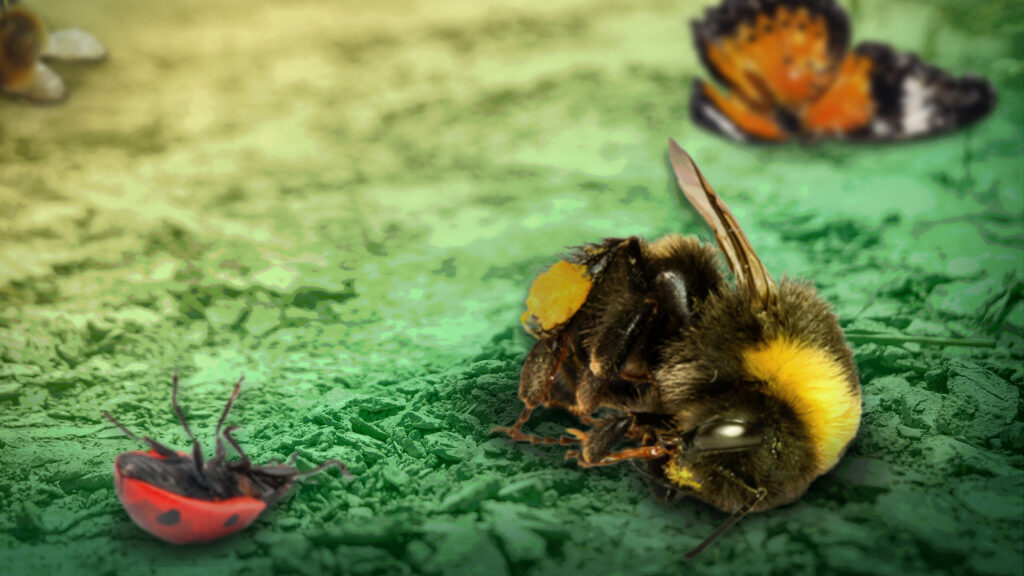 Campact fordert mit einem Appell: Keine Wiederzulassung von Glyphosat