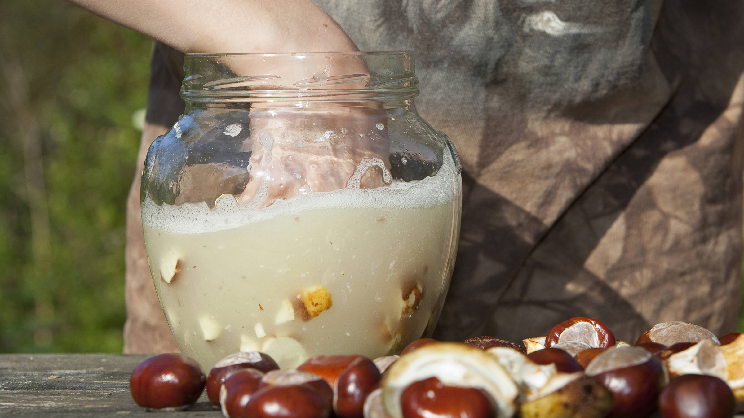 Waschmittel aus Kastanien – nur eins von vielen praktischen Dingen, die man mit Kastanien machen kann.