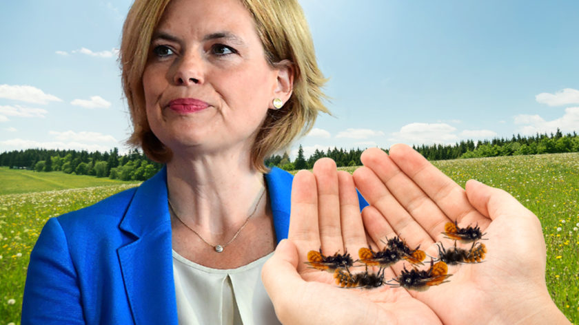 Bienensterben: Jetzt kostenlos Blumensamen bestellen