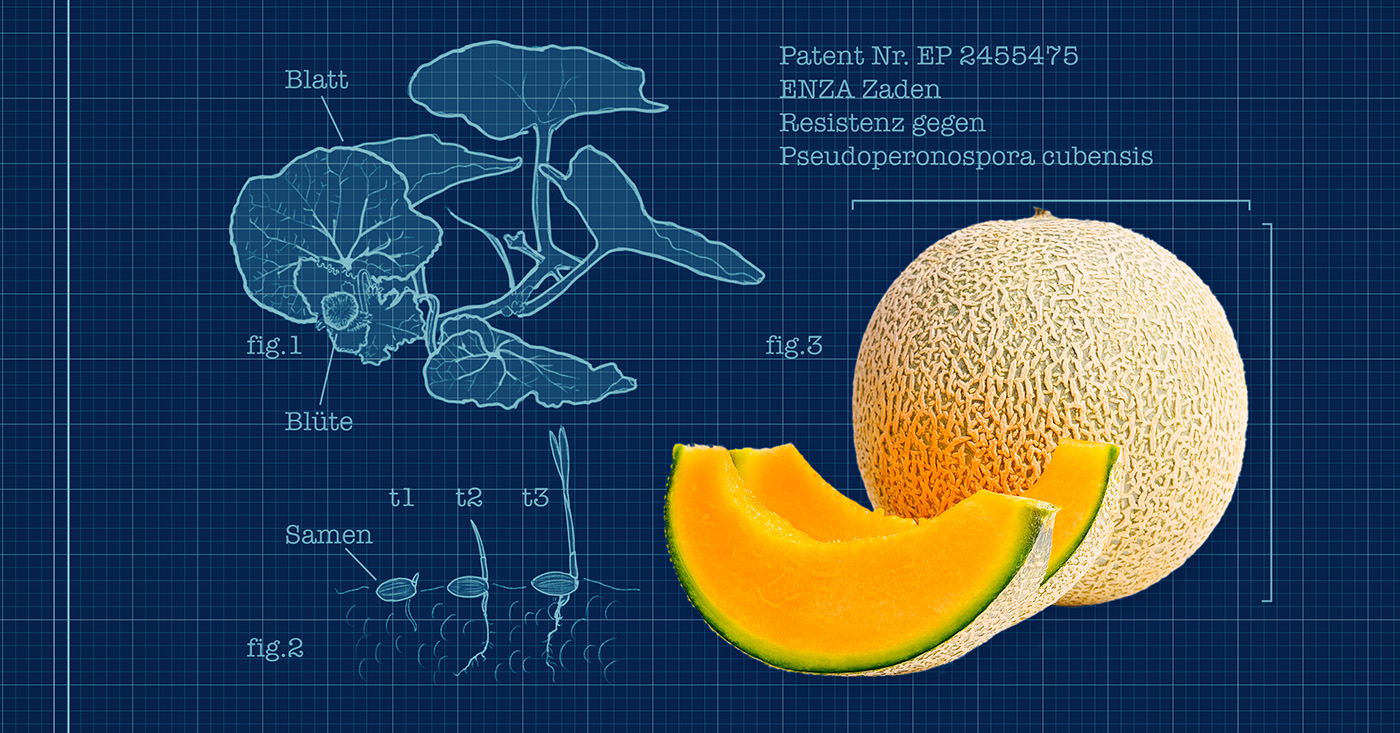 Patente auf Leben: Achtung, die Melone ist gekauft