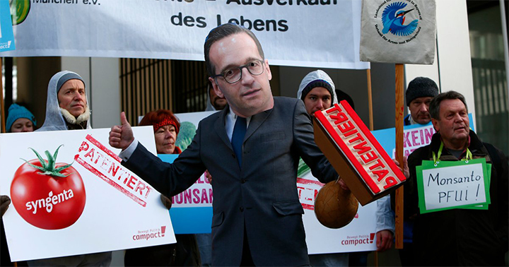 künstlicher stickstoffdünger 500 kg Harnstoff Dünger mit 46 % N Stickstoffdünger für alle Pflanzen –  Heinrichs Agrar