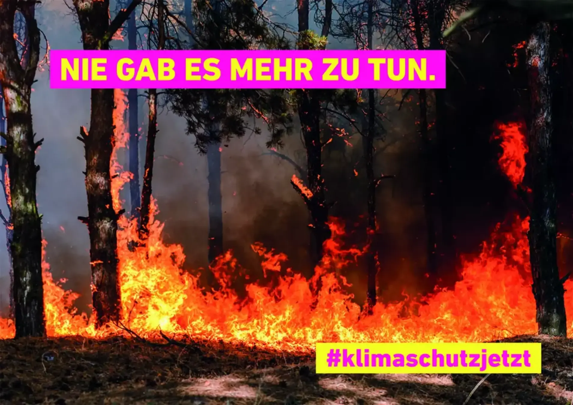 Zu sehen ist ein brennender Wald. In den Farben der FDP (Pink und Geld) steht: Nie gab es mehr zu tun #klimaschutzjetzt