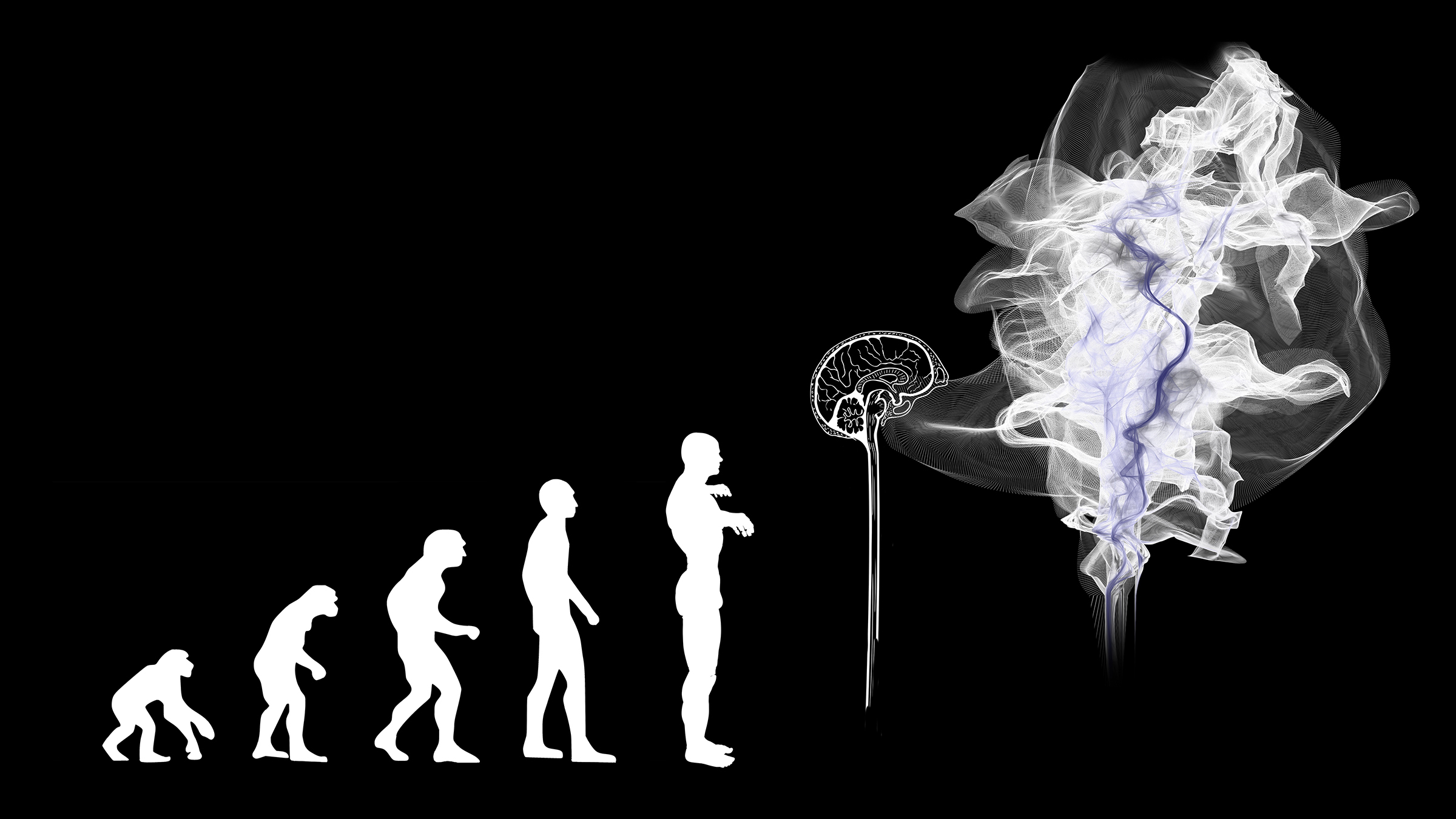 Knstliche Intelligenz und Demokratie