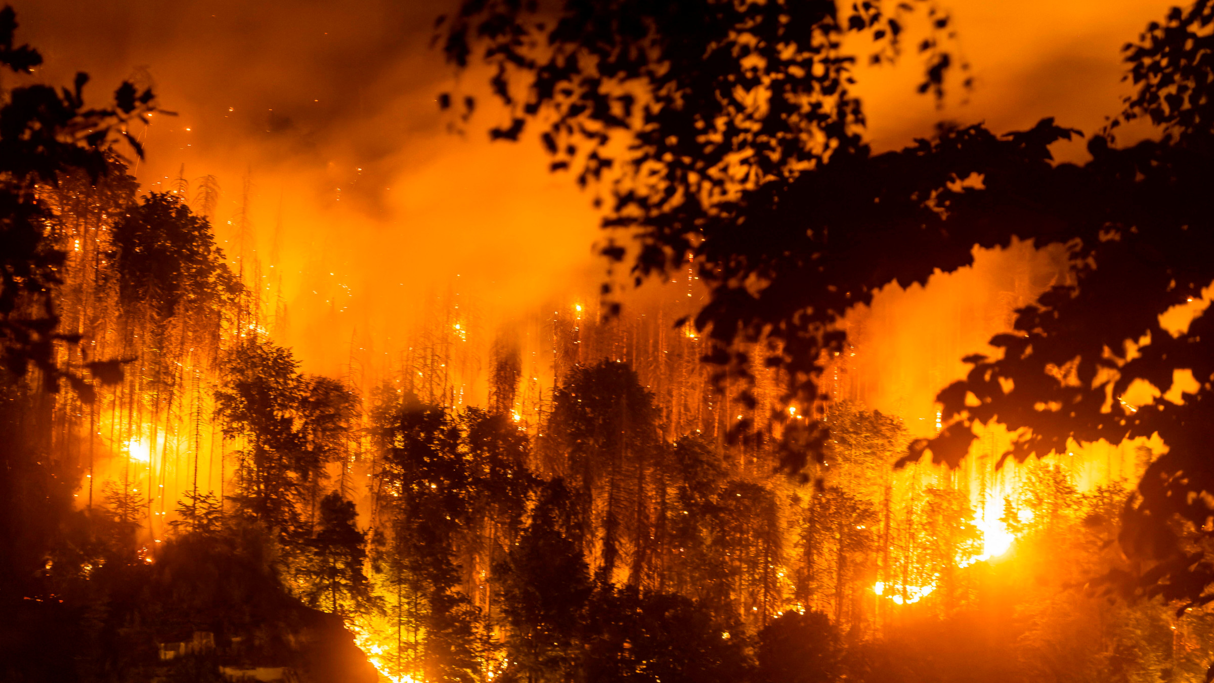 Ein Wald in der böhmischen Schweiz steht 2022 in Flammen.