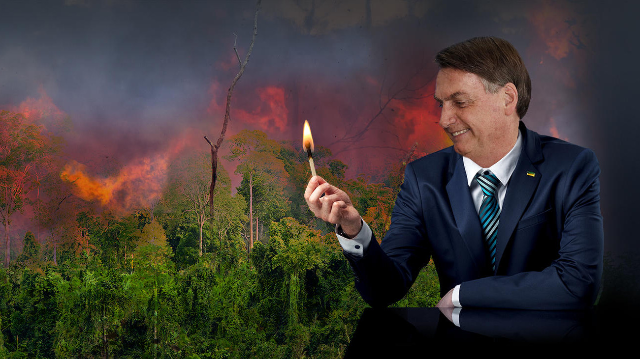 Brasiliens ehemaliger Präsident Bolsonaro wollte den Regenwald abholzen. Campact forderte einen Boykott brasilianischer Produkte durch Aldi Nord, Edeka und Lidl, um ihn zu stoppen.