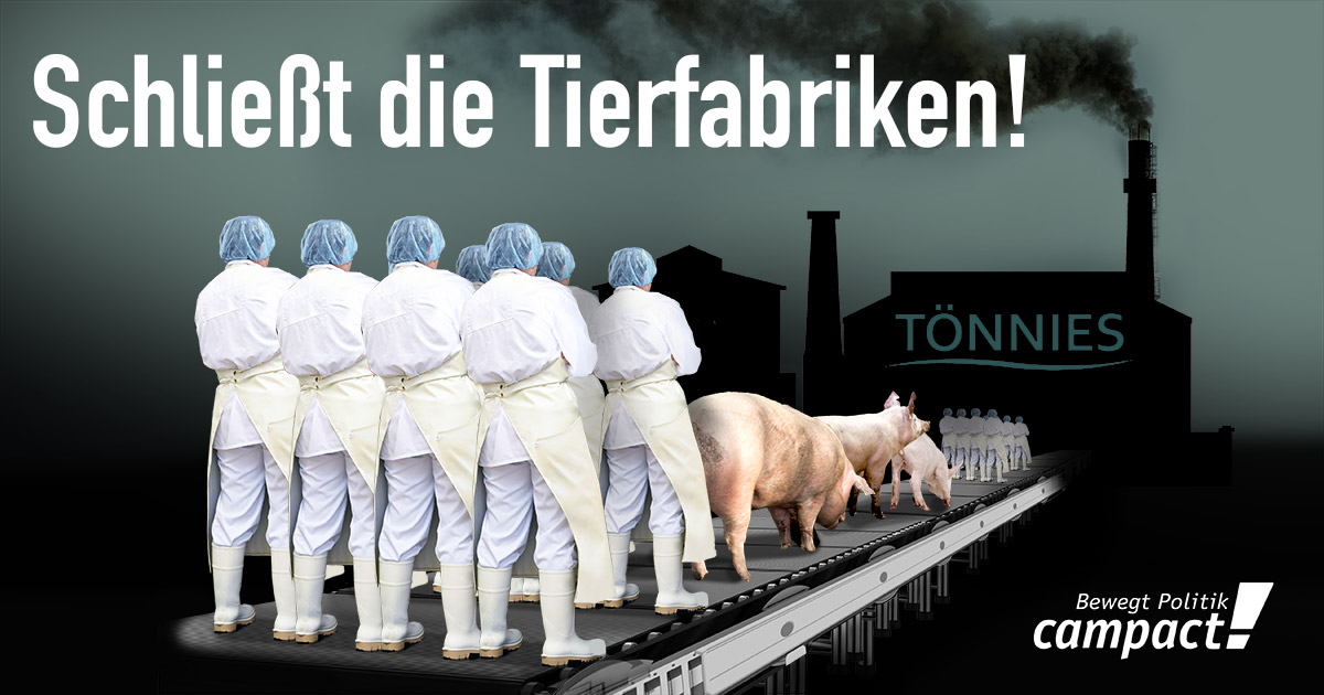 Dieses System ist krank: Mensch, Tier und Umwelt leiden unter der Massenproduktion in der Fleischindustrie. Campact startet einen Appell