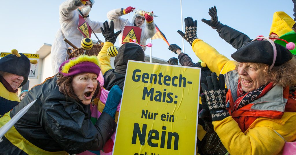 „SPD und CDU, lasst den Gen-Mais niemals zu!“ – Aktion vor der Sitzung des Bundeskabinetts