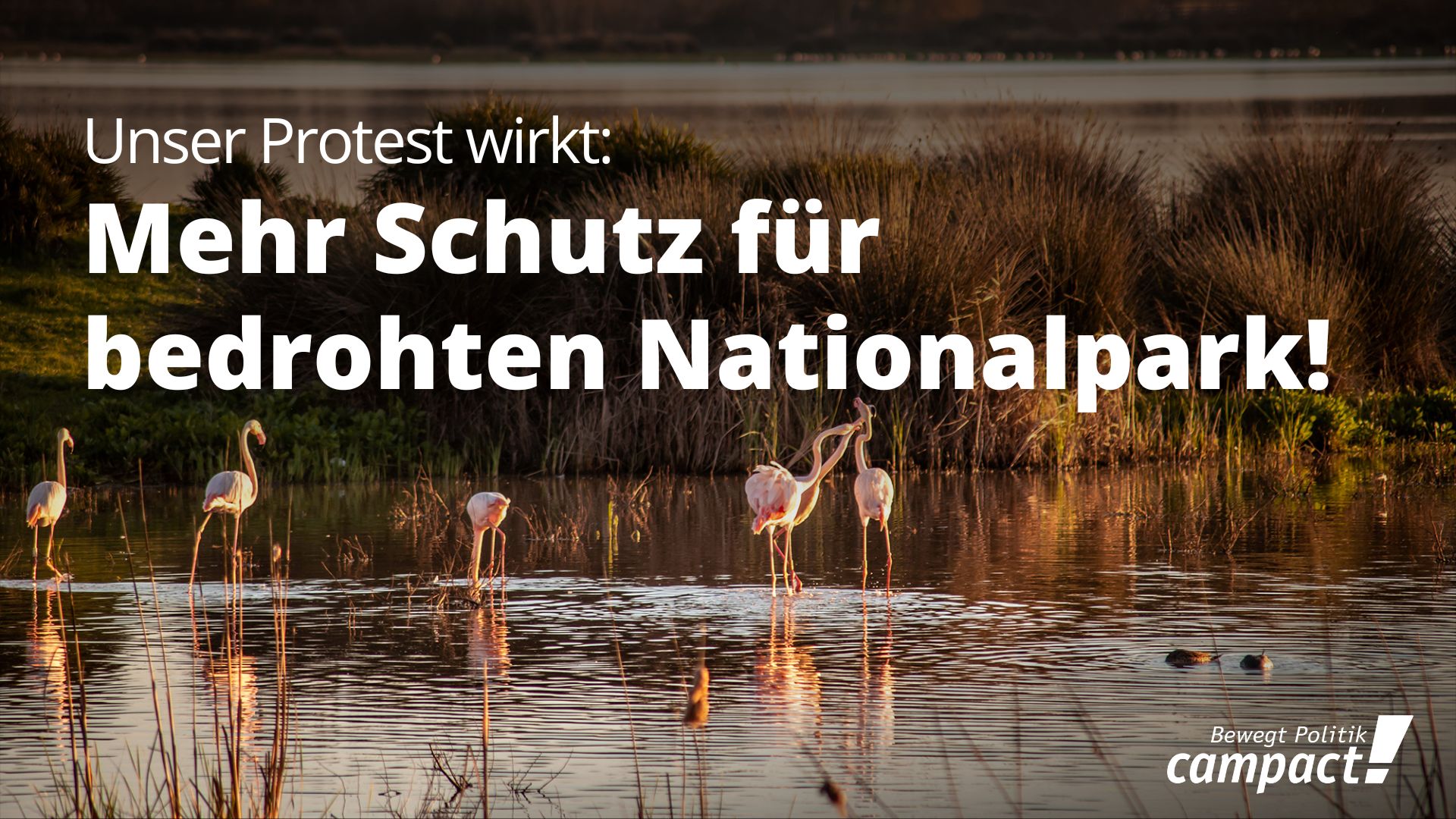 Im spanischen Nationalpark Doñana wollte die örtliche Regierung Wasserraub für den Erdbeeranbau erlauben. Dabei trocknet der Park seit Jahren aus. Dagegen hat Campact heftig protestiert – mit Erfolg: Das gefährliche Gesetz hat die Regierung zurückgenommen!