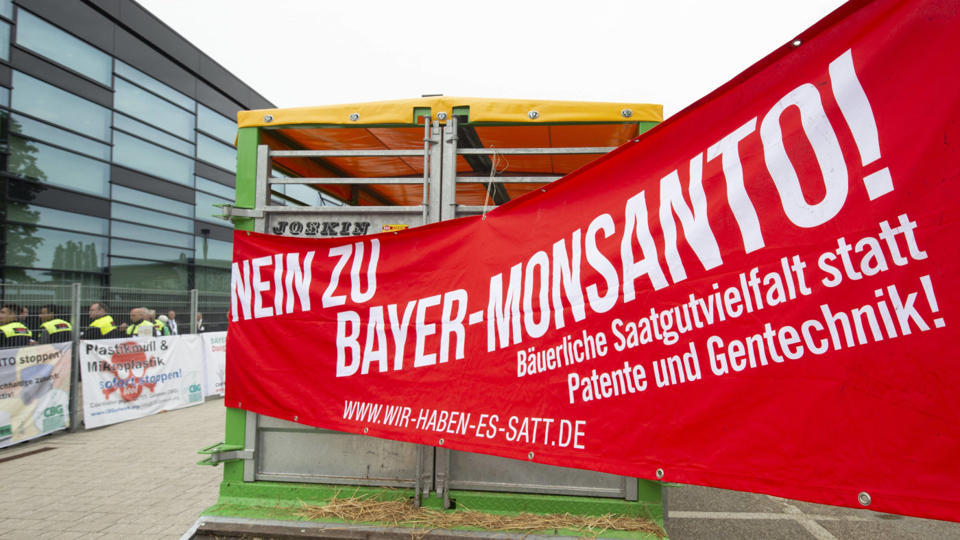 zwiebeln düngen hornspäne Hornspäne Naturdünger main image 1