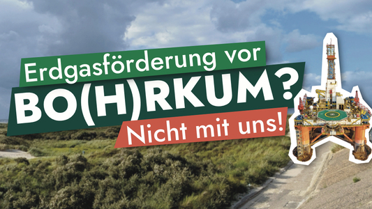 Kampangengrafik von Fridays for Future mit dem Text: Erdgasförderung vor Bo(h)rkum? Nicht mit uns!