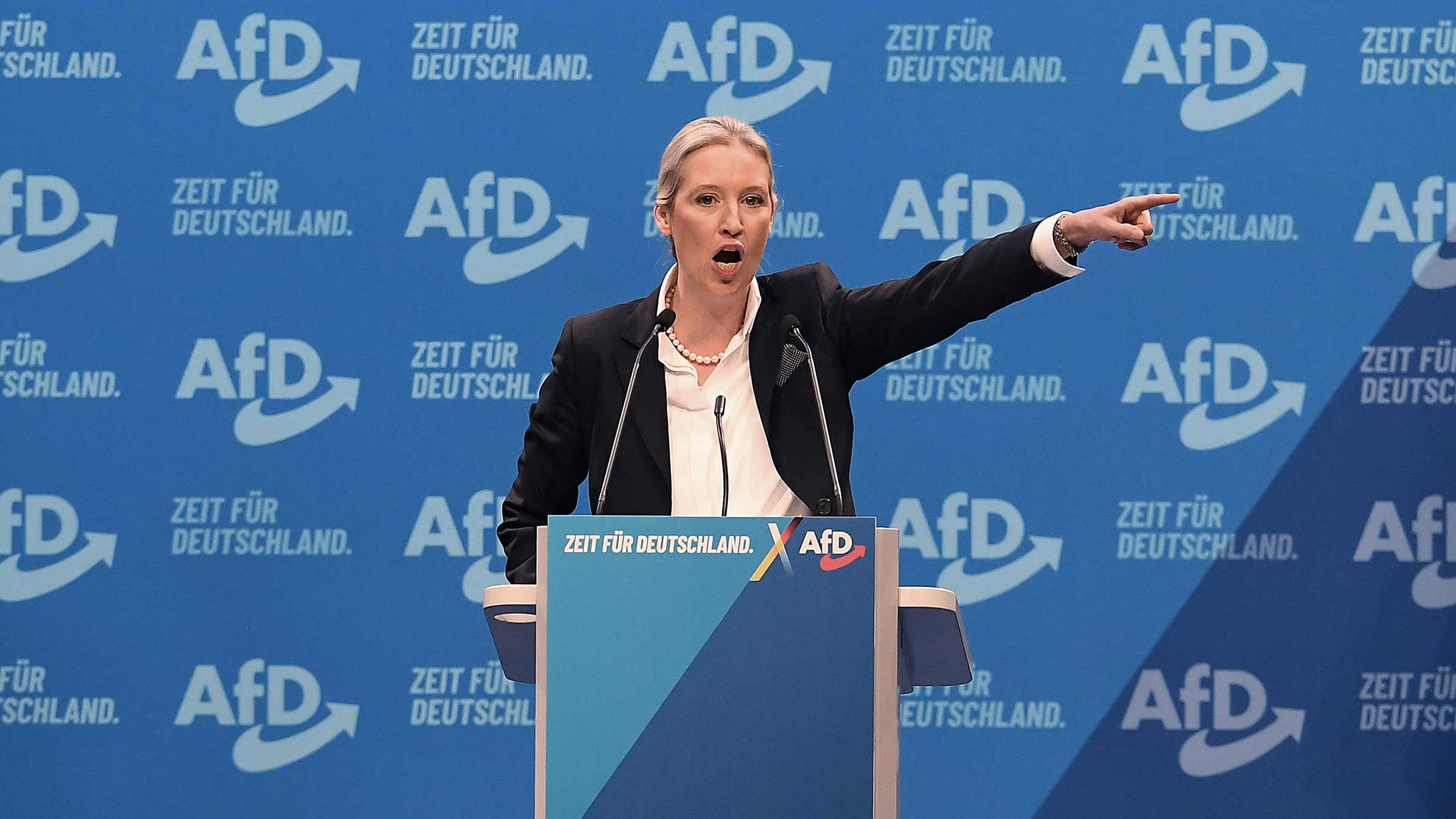 AfD-Programm: Das plant die AfD | Campact