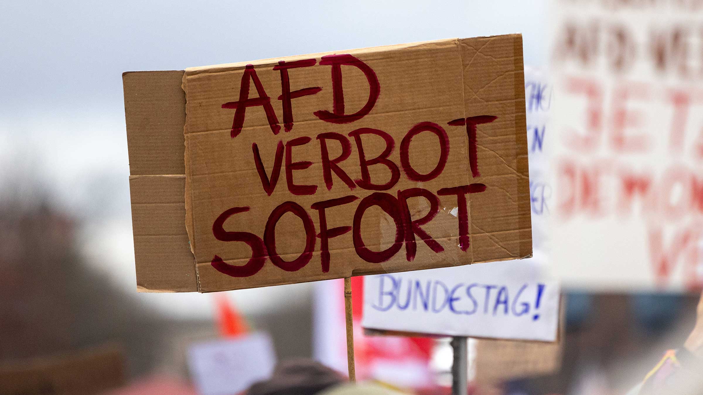 Verbot Fünf Gründe für ein AfD-Verbot | Campact