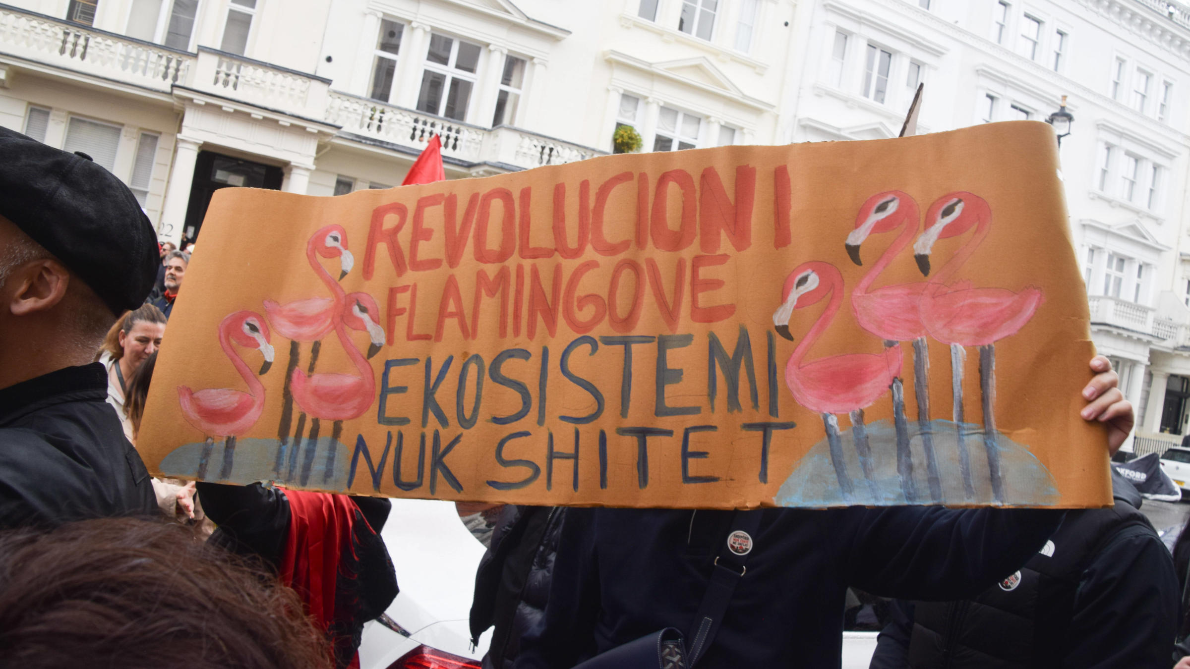 Flamingo-Revolution für ein neues Albanien